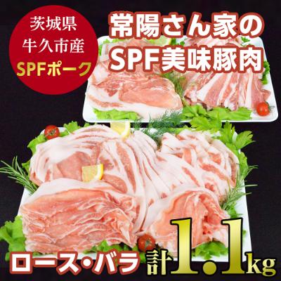 ふるさと納税 牛久市 常陽さん家のSPF美味豚肉詰め合わせ