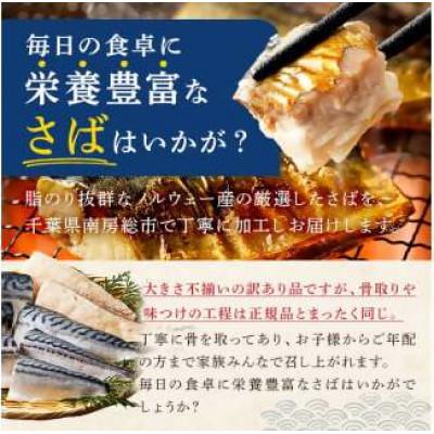 ふるさと納税 南房総市 骨取り塩さば　切身1kg(500g×2)脂乗良好【訳あり】　mi0012-0095_1