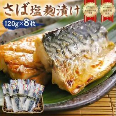 直営 店 通販 ふるさと納税 南房総市 さば 塩麹漬け 約1g 8枚 個包装 在庫有り 即発送 Shirleyryan Ca