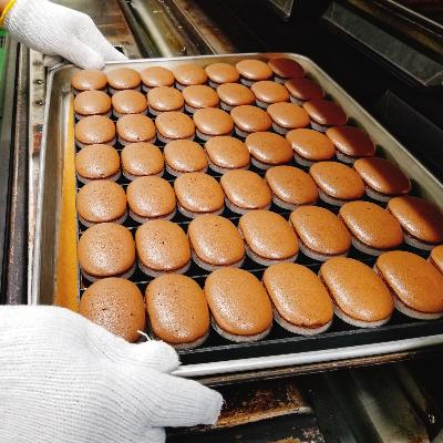 ふるさと納税 行方市 とろ〜りとろける半生チーズケーキと半生チョコ