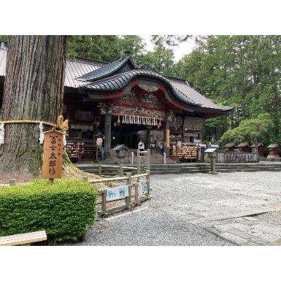 ふるさと納税 山梨県 【世界遺産富士山】富士講の歴史をたどる富士山吉田口登山道ガイド付トレッキングツアー参加券(ペア)