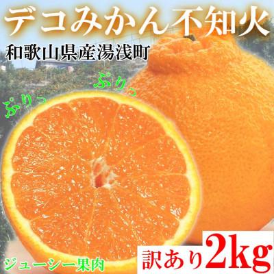 ふるさと納税 湯浅町 不知火(しらぬい) オレンジ みかん 家庭用 2kg [2026年2月中旬から順次発送] 予約受付