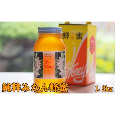 ふるさと納税 紀美野町 純粋みかん蜂蜜1.2kg和歌山県紀美野町産の画像