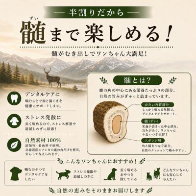 ふるさと納税 北見市 北海道産エゾシカ 鹿の角 Mサイズ 半割り2本
