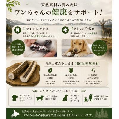 ふるさと納税 北見市 北海道産エゾシカ 鹿の角 Mサイズ 半割り2本