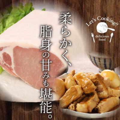 ふるさと納税 木城町 宮崎県産豚ロース　ブロック　約5kg