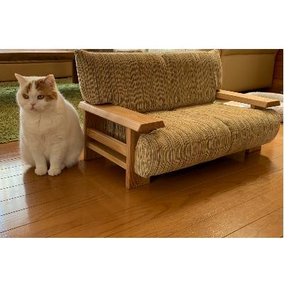匿名！送料無料！ ふるさと納税 小樽市 ペットソファ猫の調 【MY2414538980】(88000円)