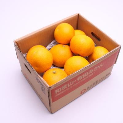 ふるさと納税 日高町 <1月より発送>厳選 はっさく4kg+120g(傷み補償分)【八朔】|y-sf|02