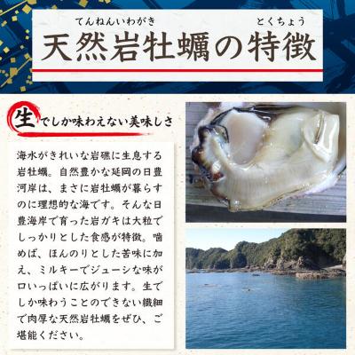 ふるさと納税 延岡市 延岡産天然岩牡蠣(生食用)5kg(中)