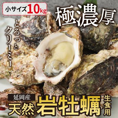 ふるさと納税 延岡市 延岡産天然岩牡蠣(生食用)10kg(小)