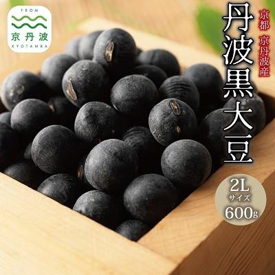 ふるさと納税 京丹波町 京丹波町産 丹波黒大豆 2L 600g(300g×2袋) 黒豆