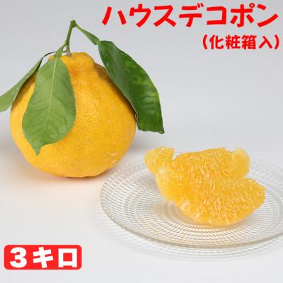 ふるさと納税 杵築市 ハウスデコポン 約3kg(化粧箱入)