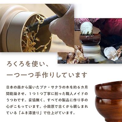 漆器 椀 20個セット 木箱入り ふるさと納税 小田原市 【ふるさと納税】漆めいぼく椀 中 2樹種セット