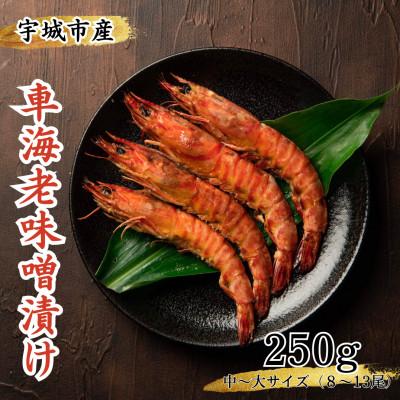 ふるさと納税 宇城市 車海老の味噌漬け 250g 7 11尾 中 大サイズ 車えび さとふる 通販 Yahoo ショッピング