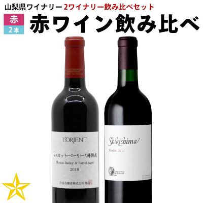 ふるさと納税 山梨県 GI 山梨 認証ワイン 赤ワイン 飲み比べ 2本セット (山梨県2ワイナリー セット)