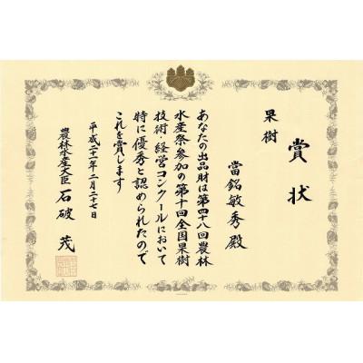 ふるさと納税 石垣市 平成21年農林水産大臣賞受賞!當銘さんグループのスナックパイン4.4kg 