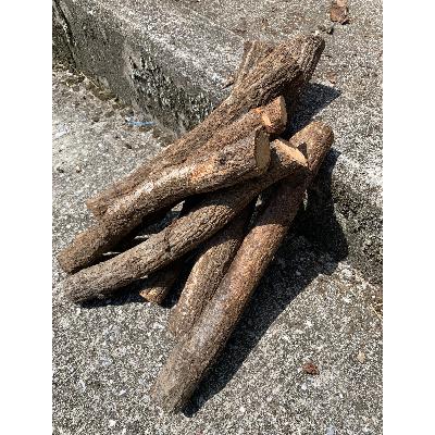 ふるさと納税 添田町 藤川椎茸園のくぬぎ 薪用 コボタ約50cm未満 約25kg[添田産]