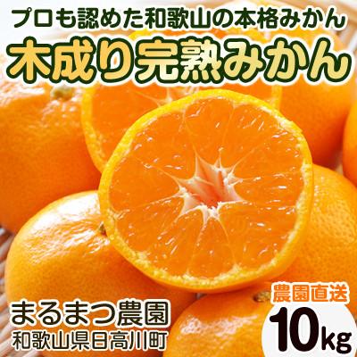ふるさと納税 日高川町 [2025年12月順次発送]濃厚完熟 木成り温州みかん ミックスサイズ 10kg 和歌山県産