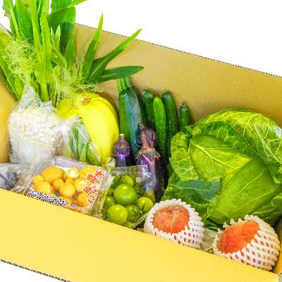 値下げ ふるさと納税 千曲市 産地直送新鮮野菜 長野県産 信州盛りだくさん野菜セット Wantannas Go Id