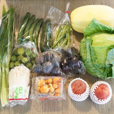 値下げ ふるさと納税 千曲市 産地直送新鮮野菜 長野県産 信州盛りだくさん野菜セット Wantannas Go Id