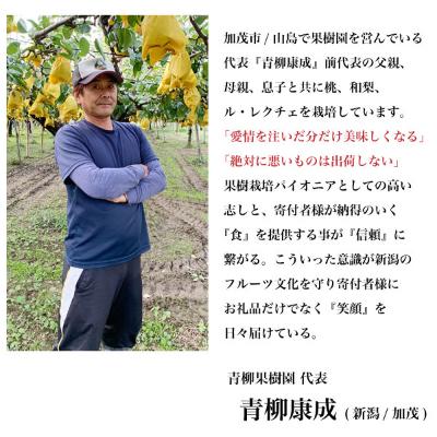 ふるさと納税 加茂市 <青柳果樹園>西洋梨 ル・レクチェ 2kg|y-sf|02