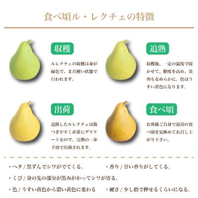 ふるさと納税 加茂市 <青柳果樹園>西洋梨 ル・レクチェ 2kg|y-sf|03