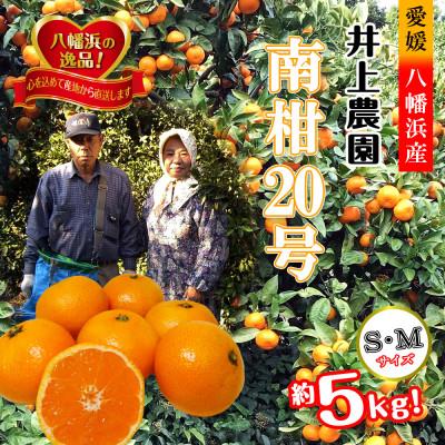 ふるさと納税 八幡浜市 M、Sサイズでお届け・濃厚な味わい! 井上農園「南柑20号」約5kg [C39-12]