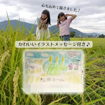 国際ブランド 玄米 福井県勝山市産コシヒカリ10kg 新米 令和3年産 勝山市 ふるさと納税 玄米 勝山市 ふるさと納税 米 ごはん Postetelecom Gouv Cg