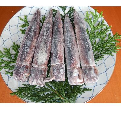 ふるさと納税 能登町 石川県産 船内凍結するめいか