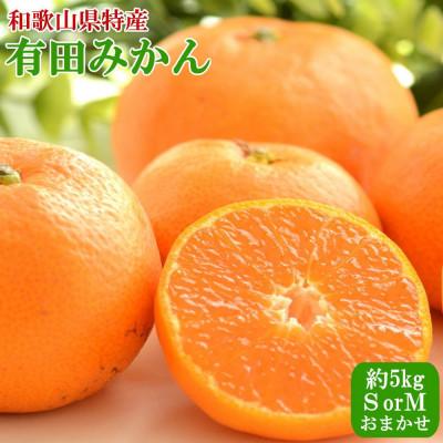 ふるさと納税 那智勝浦町 「11月中旬より順次発送」[秀品]和歌山有田みかん約5kg(SサイズまたはMサイズいずれか)