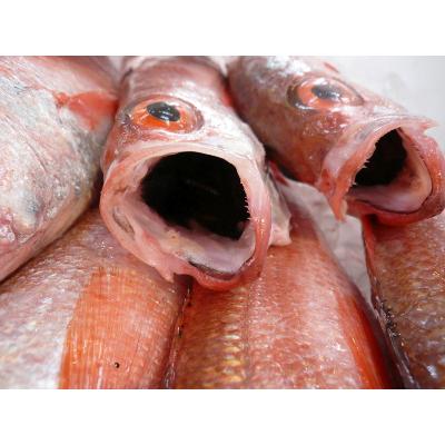ふるさと納税 新温泉町 脂がのった、一夜干しのどぐろ 3枚セット|y-sf|02