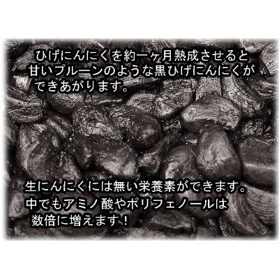 ふるさと納税 佐賀市 ひげにんにくと、有精卵、佐賀県産すっぽん卵で作ったにんにく玉5袋セット 