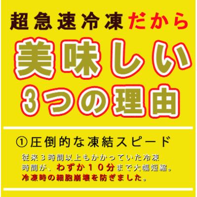 ふるさと納税 小林市 完全手切り 国産 親鶏たたき(100g×10p)|y-sf|03