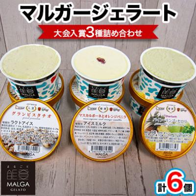 ふるさと納税 能登町 マルガージェラート大会入賞セット6個入り