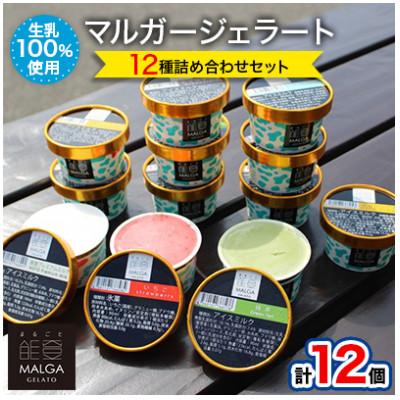 ふるさと納税 能登町 マルガージェラート能登セット12個入り