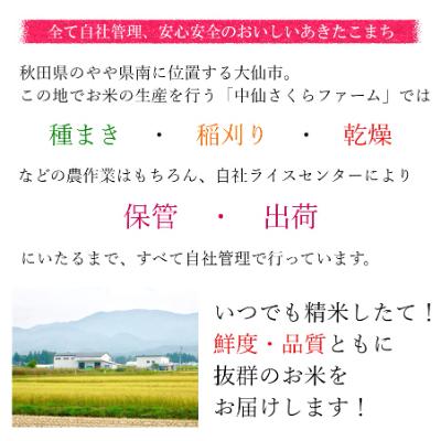 ふるさと納税 大仙市 【新米】令和4年産 あきたこまち「特別栽培米さくらこまち 精米10kg」中仙さくらファーム|y-sf|02
