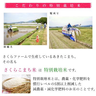 ふるさと納税 大仙市 【新米】令和4年産 あきたこまち「特別栽培米さくらこまち 精米10kg」中仙さくらファーム|y-sf|03