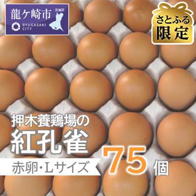 ふるさと納税 龍ケ崎市 【さとふる限定】押木養鶏場の「紅孔雀」赤卵