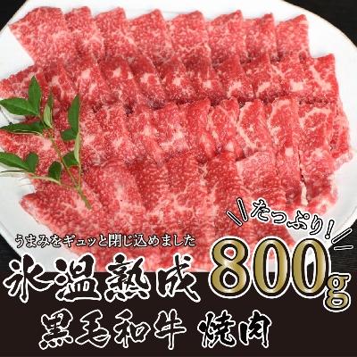 ふるさと納税 宇土市 氷温(R)熟成 黒毛和牛焼肉用 800g(宇土市)