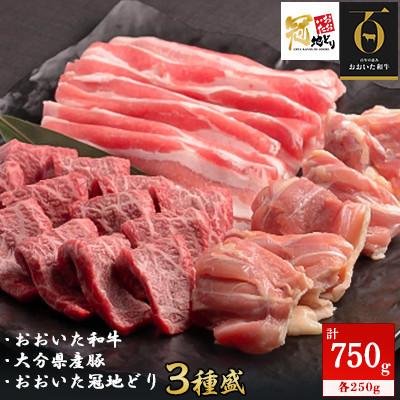 オープニング大セール ふるさと納税 中津市 おおいた和牛 大分県産豚 おおいた冠地どり3種盛 合計750g Materialworldblog Com
