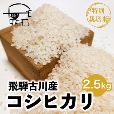 ふるさと納税 飛騨市 [令和6年産]飛騨古川産 特別栽培米こしひかり 2.5kg