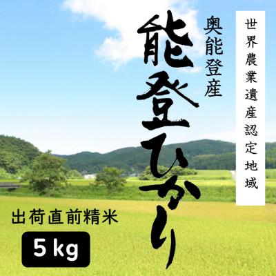 ふるさと納税 能登町 能登ひかり5kg[精米]