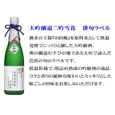ふるさと納税 大垣市 大垣むすびの地　こだわりの地酒セット　720ml×3本(俳句ラベル・船町港・バロンテッシン) 