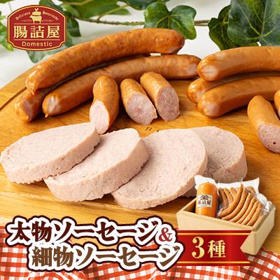 ふるさと納税 太田市 腸詰屋 太物ソーセージ&amp;細物ソーセージ2種セット(冷蔵)