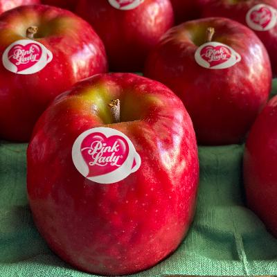 ふるさと納税 黒石市 シャキッと爽快な酸味りんご 超爆安 60％以上節約 希少品種 ピンクレディ