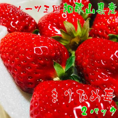 ふるさと納税 御坊市 [和歌山ブランド苺]完熟まりひめいちご 2パック[2025年1月上旬〜3月下旬発送予定](A-01)