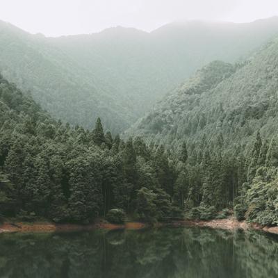 ふるさと納税 丹波市 [クロモジ芳香蒸留水]姫黒文字フローラルウォーター100mlと詰替パック500mlセット　丹波里山産 