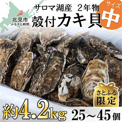 ふるさと納税 北見市 [さとふる限定]サロマ湖産殻付き2年牡蠣 中 約4.2kg(約25個〜45個)
