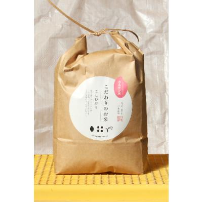 ふるさと納税 能美市 [令和5年産]石川県産コシヒカリ 5kg×1袋 カルゲン米