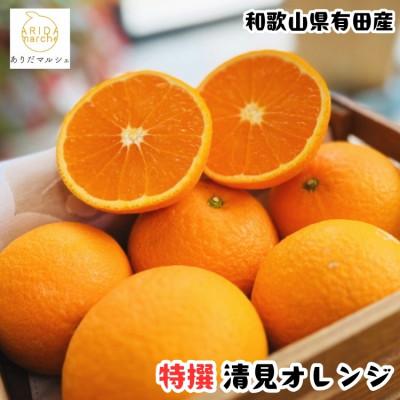 ふるさと納税 美浜町 [先行予約 2027年2月下旬〜発送][大人気]特撰 完熟 清見オレンジ 1.5kg[美浜町]